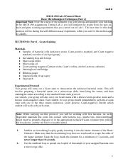 Lab 02 - Protocol Sheet - Fall 2023 (1).docx