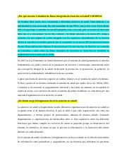 EJEMPLO E IMPORTANCIA DE LAS RIAS EN COLOMBIA.docx