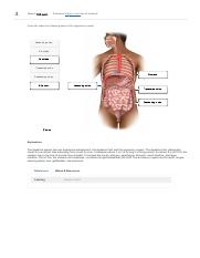 Ahcdw24notes3 Pdf 3 Award 1 00 Point Problems Adjust Credit For All Students Correctly Label The Following Parts Of The Digestive System Descending Course Hero