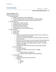 ANTH Exam 2 Study Guide