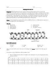 DNA Replication Beads Lab Dwyer.docx