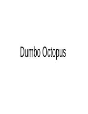 Dumbo Octopus .pptx