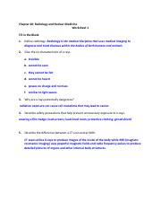 Chapter 20 Worksheets.pdf