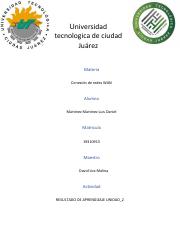MartinezMartinezLuisDaniel-REU2.pdf