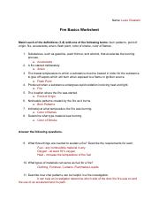 Fire Basics Worksheet.pdf