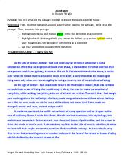 Petrovic_Black Boy Passage _Chapter 3_ Annotation, Questions & Literary Analysis (1).pdf