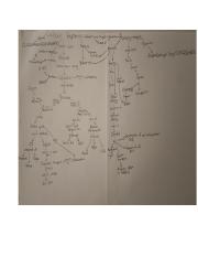 Grade 12 Biology - Unit 3 - Concept Map.pdf