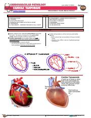 10130150 - Cardiovascular Pathology - 015 ] Cardiac Tamponade [Notes].pdf