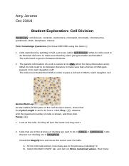 Activity 4 - Student Exploration: Cell Division