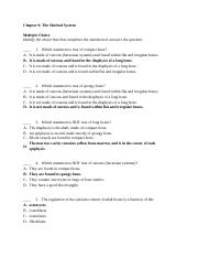 AP 1 Quiz 6.docx