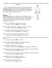 2Anatomical Terminology Worksheet (1).pdf