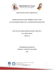 INFORME DE OBTECION DE ACIDOS CARBOXILICOS.pdf
