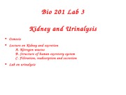 Bio 201 Lab 3(1)