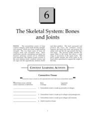 assignment 6.1 skeletal system medications