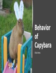 Behavior of Capybaras.pptx