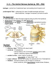 11.3 - The Central Nervous System.pdf