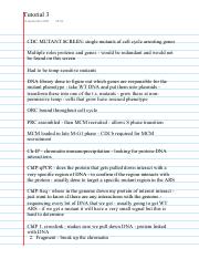 Tutorial Notes 3.pdf
