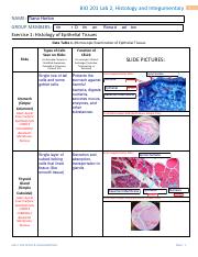 Week 2 Lab 2 Anatomy -  Group .pdf