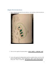 Chapter 8 Study Guide OSBIOLOGY.docx.pdf