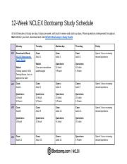 12 Week NGN Study Schedule.docx