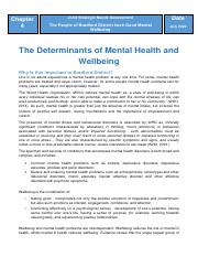 The Determinants of Mental Health and Wellbeing.pdf