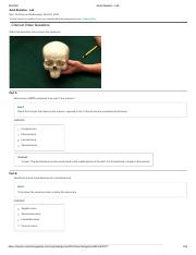 Axial Skeleton - Lab.pdf