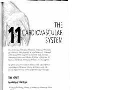 DRAKE ELIZABETH - Cardiovascular workbook.pdf