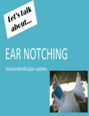 Christopher_Akins_-__Ear_Notching_.pptx.pdf