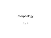 Morphology+day+2