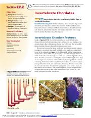 Invertebrate Chordates.pdf