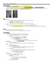 Osteoporosis pathophys.docx