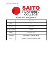 Individual Assignment.pdf