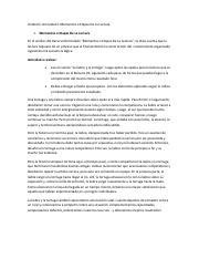Santana-Arileidy-Interpretacion.pdf