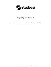 angel-aguirre-tarea-6.pdf