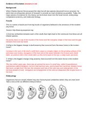 16.4 wkbk key  Correct your own answers 16.4 Workbook KEY Biogeography 1 Biogeographers study 