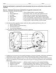 Biology EOC Essential Standard Study Guide.docx.pdf