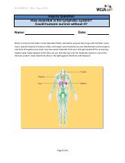 U6 - lymphatic system.pdf