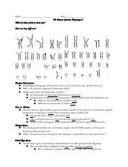 Karyotype notes & Practice dwyer.docx