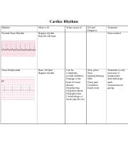 Week 2 Cardiac Template (1)-1.docx