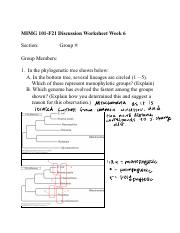 MIMG 101-F21 Discussion Worksheet Week 6 (1).pdf