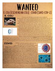 E. coli and Covid.jpg