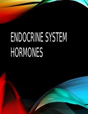 Endocrine-system-3-REPORT (1).pptx