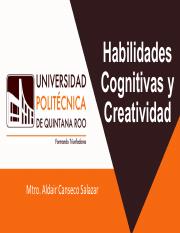 5 Habilidades Cognitivas y Creatividad.pdf