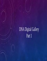 DNA Digital Gallery Part 1.pptx