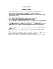 Chapter 26 Notes.pdf