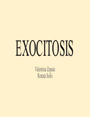 EXOCITOSIS.pdf