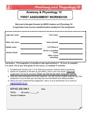 AP12 First Assignment Workbook PDF.pdf