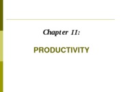 LECTURE-PRODUCTIVITY