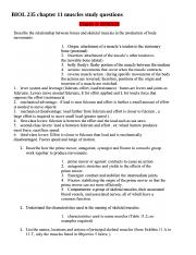 BIOL 235 chapter 11 muscles study questions.docx