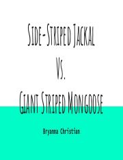 Mongoose vs. Jackal.pdf